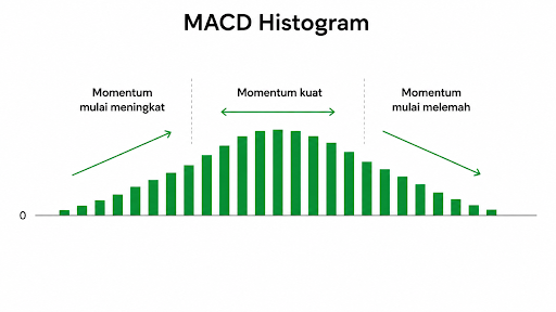 MACD histogram.