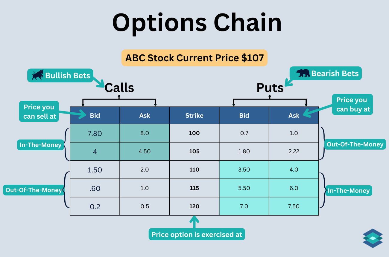 Options Chains, Source: TradingBlock